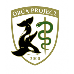 日医標準レセプトソフト（ORCA）と連携